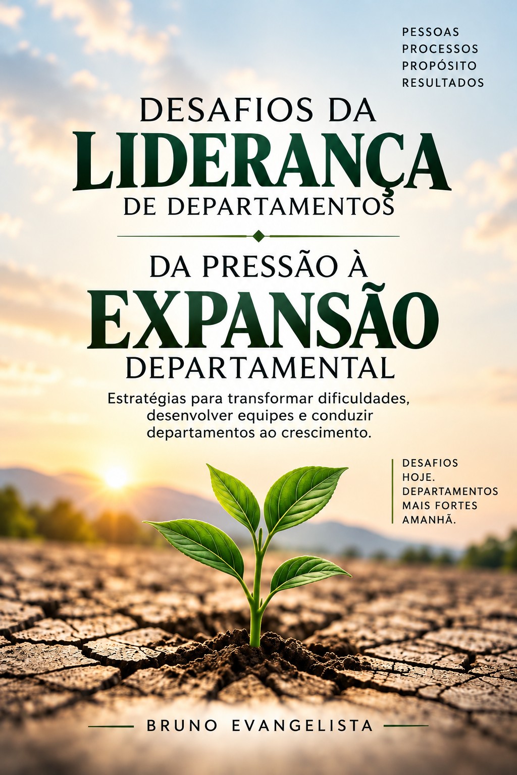 Capa do e-book Desafios da Liderança de Departamentos